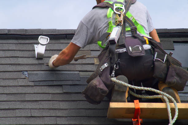 Best Roof Insulation Installation  in Little River Academy, TX
